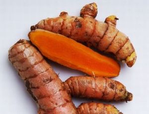 Kunyit Obat Kencing Manis