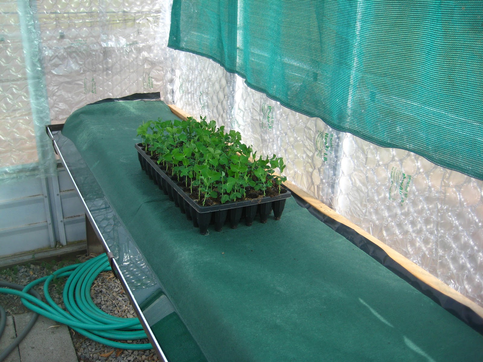 Susan's In the Garden Greenhouse insulation and selfwatering system