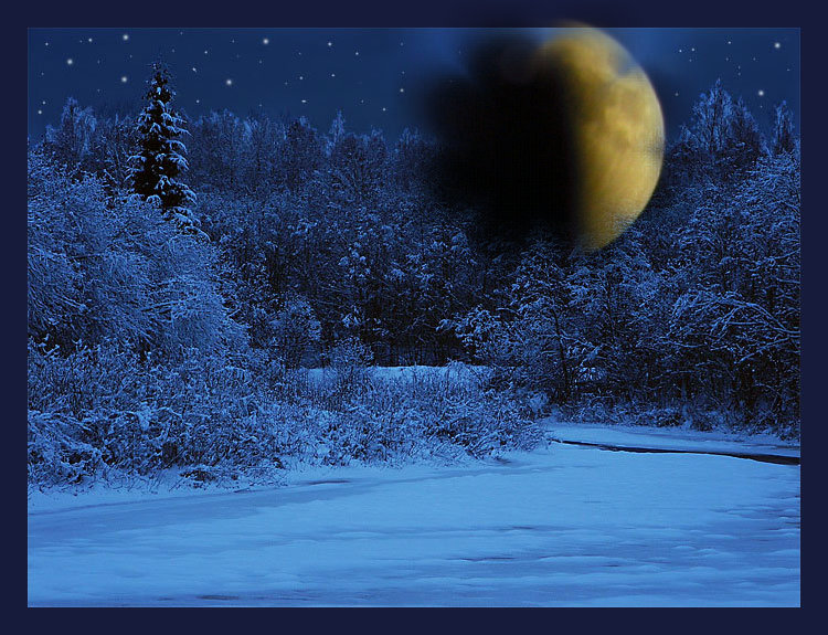 звезда полей фото
 звезда полей