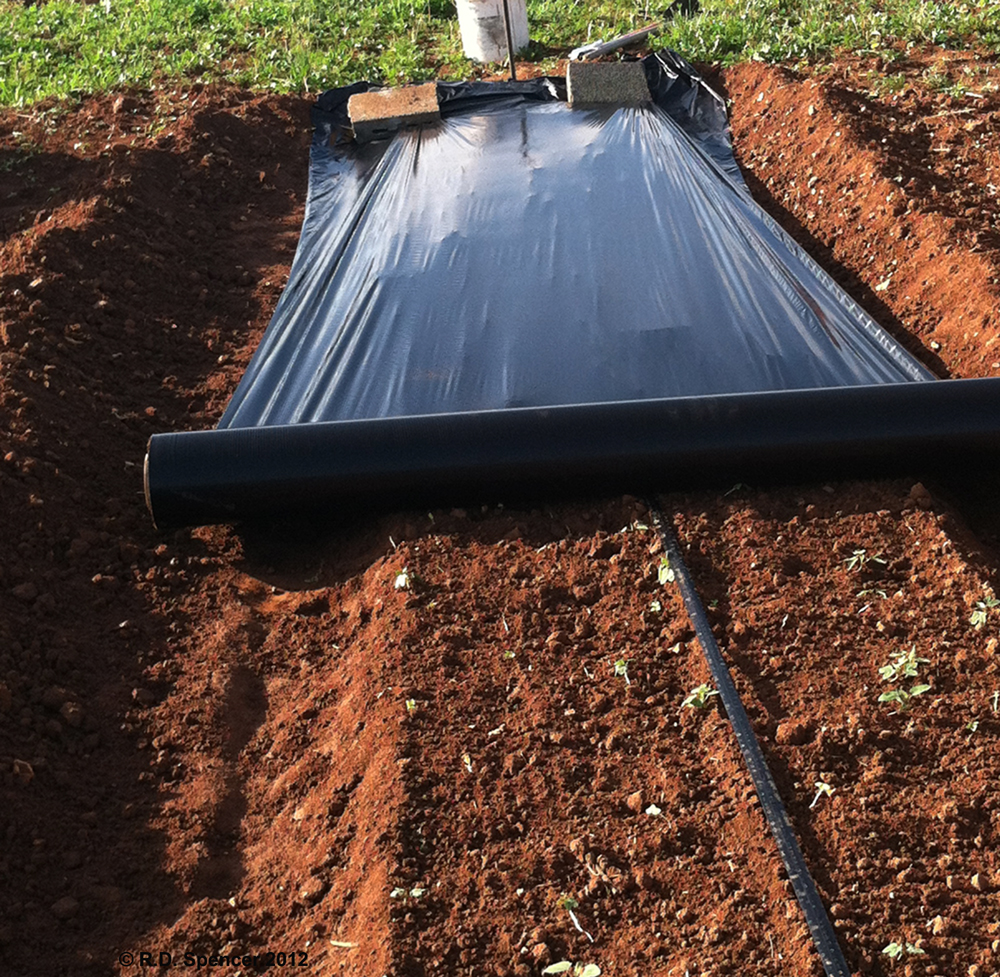 Eaglesbrother's Gourds and Art: Making of the Garden