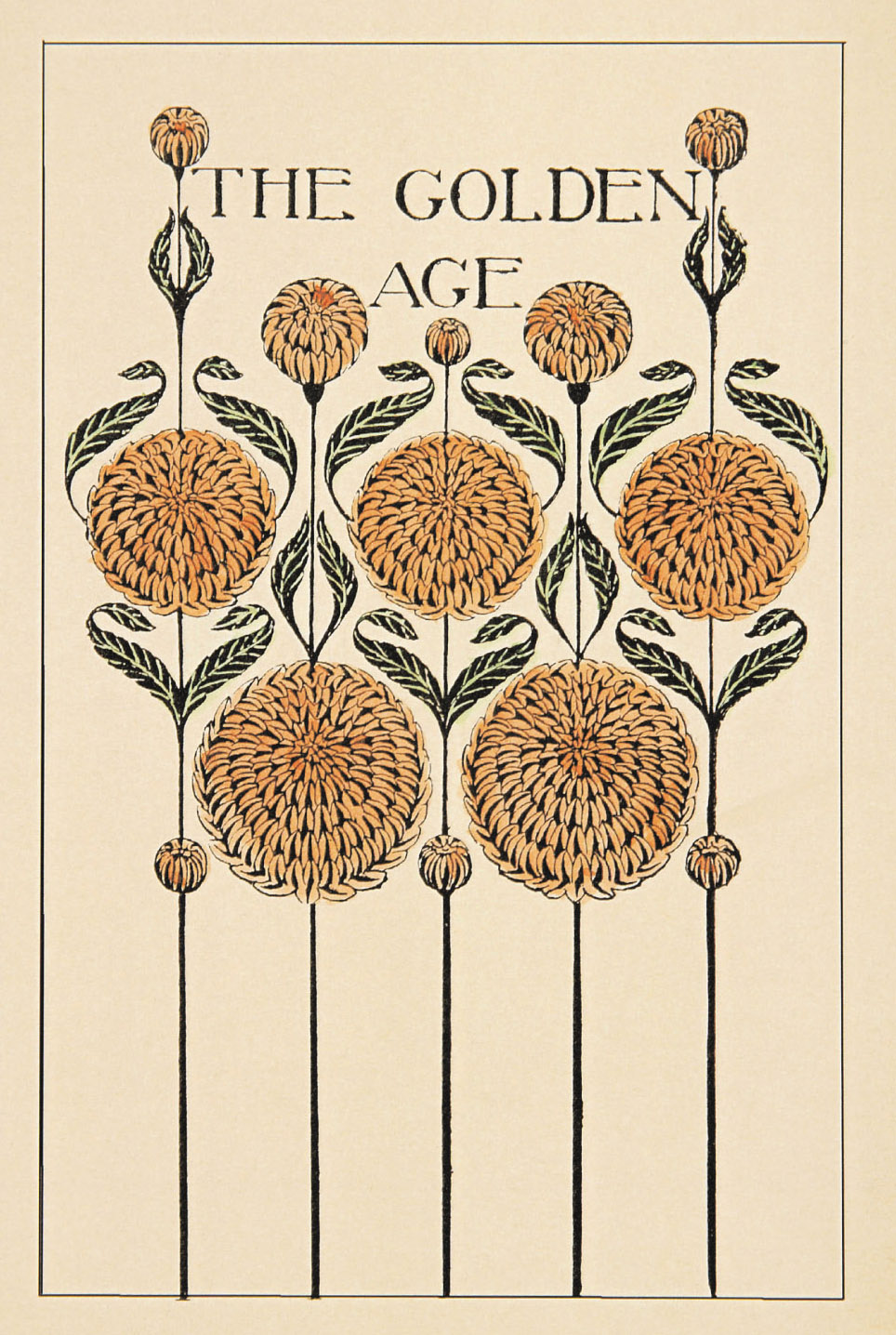 inkspired musings The Language of Flowers Chrysanthemum Part II