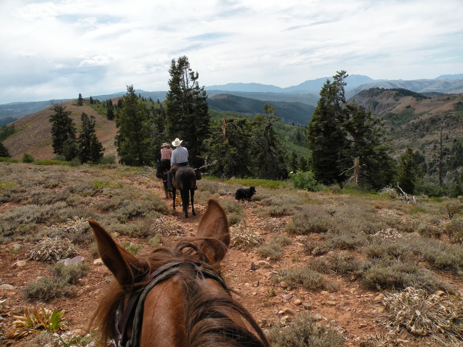 Dream Packer Trail Adventures Monte Cristo, Utah, Lightning Ridge