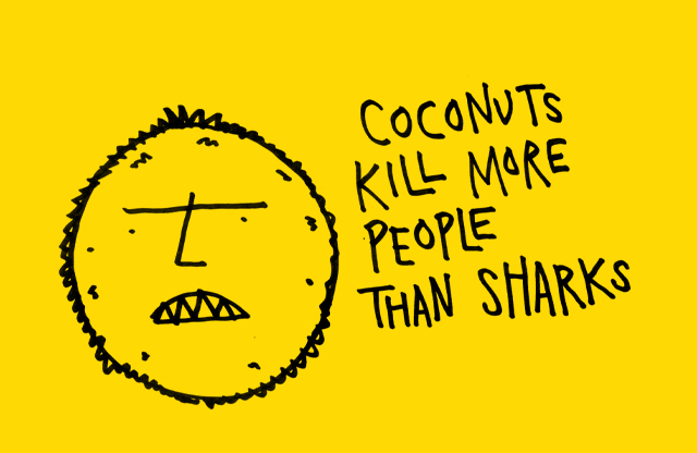 Coconuts Kill More People Than Sharks