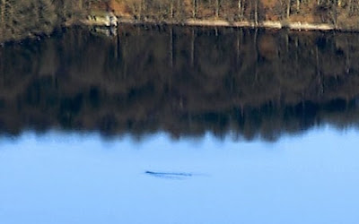 Bowness Monster of Lake Windermere