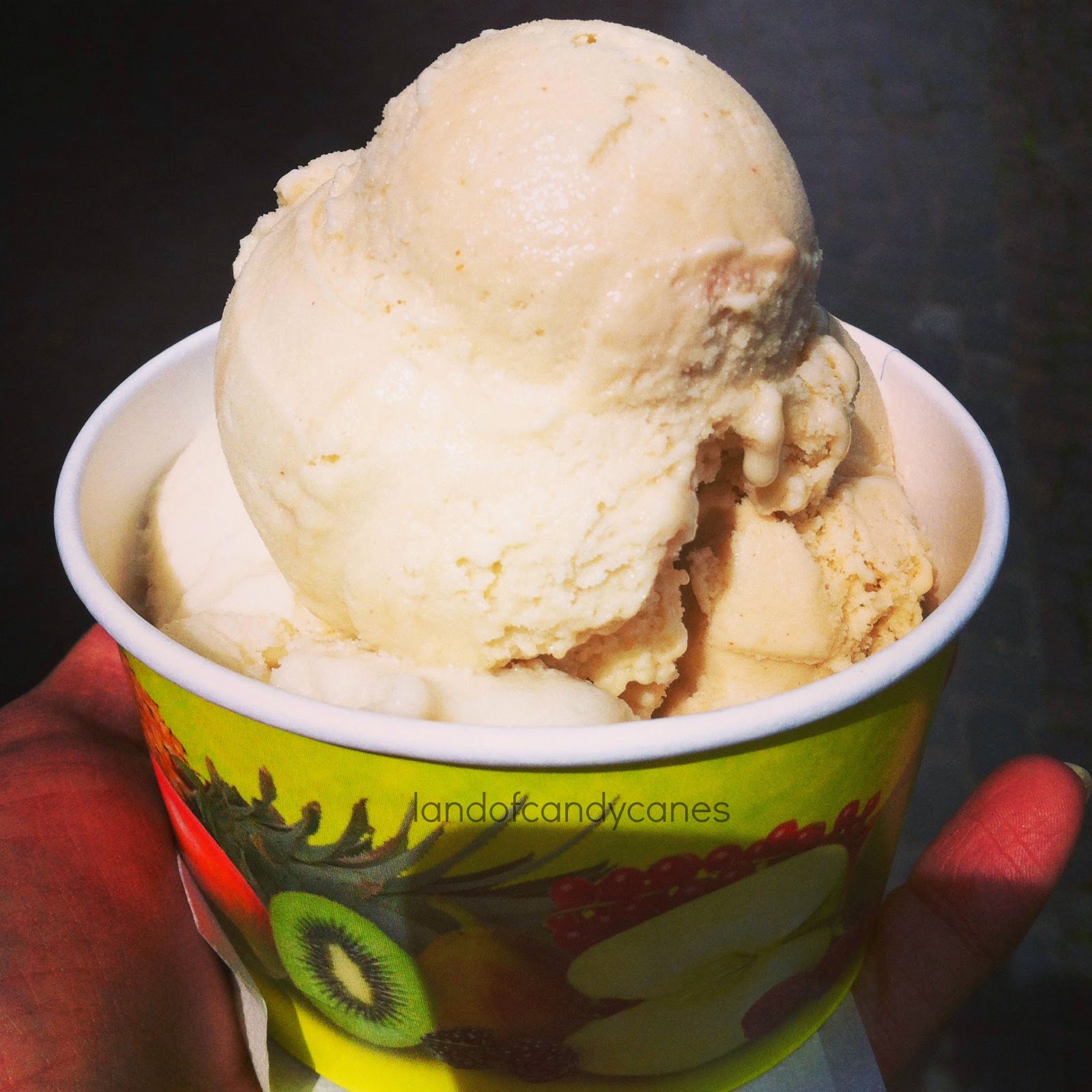 landofcandycanes Ice cream heaven, books are better and frog noises. {Ten On Tuesday}