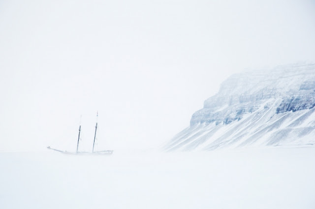 International photography awards 2011