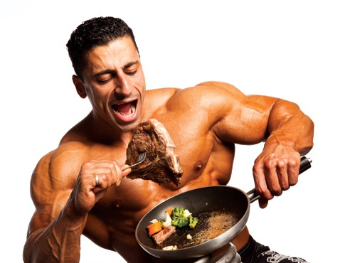 High Protein High Fat Diet To Build Muscle