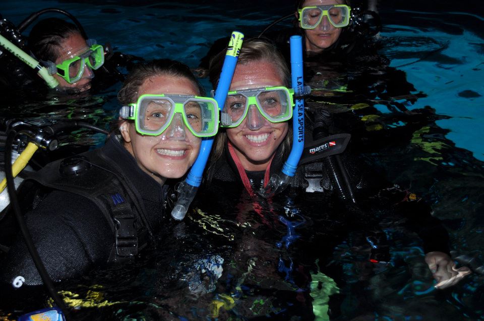 Land Down Under Airlie Beach Scuba Diving (again, in the GREAT