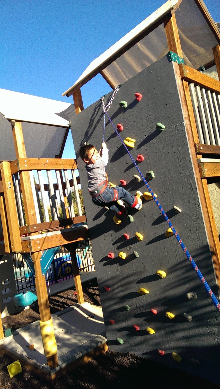Makermonkey Backyard Climbing Wall