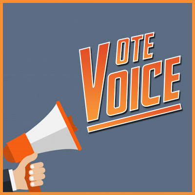 About Vote Voice