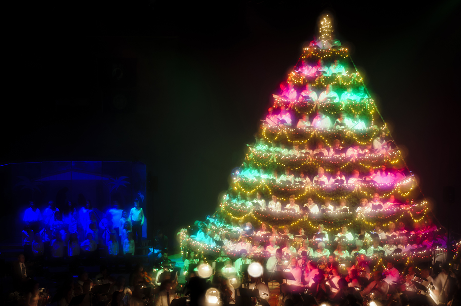 Chad's Concert Pix Living Christmas Tree, Aberdeen, SD