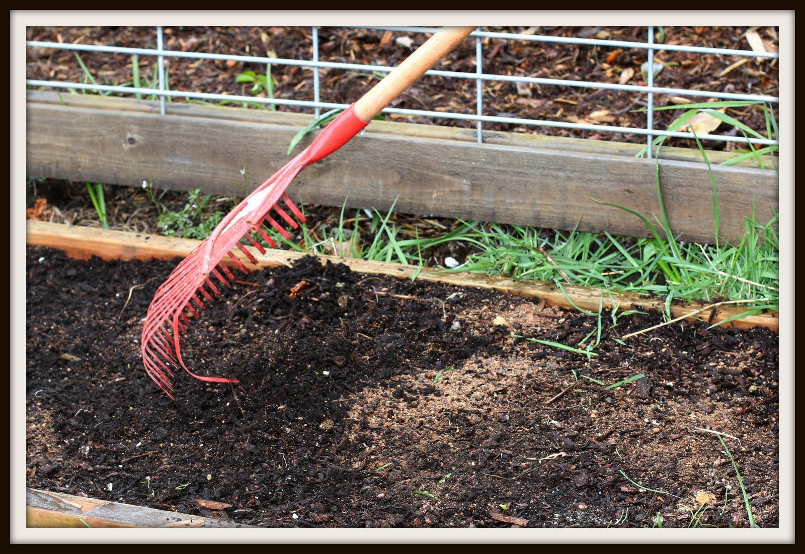 Desperate Gardener Preparing Your Soil