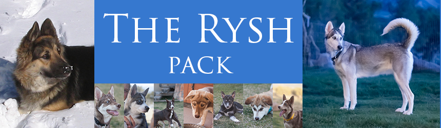 Rysh Pack