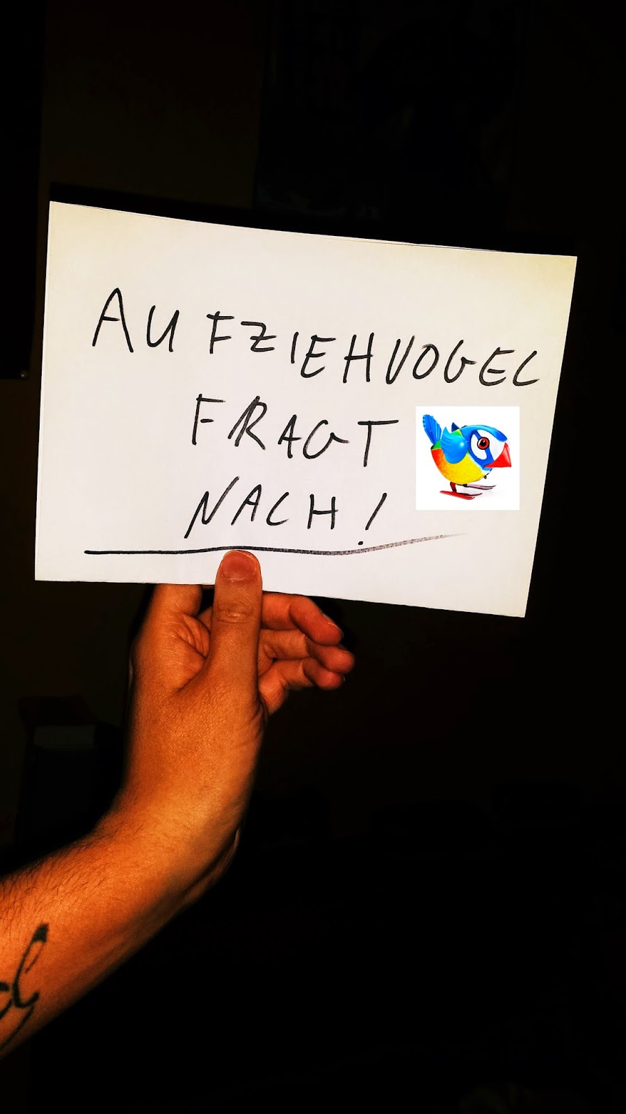 Am Meer Ist Es Warmer