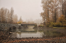 Fall Bridges