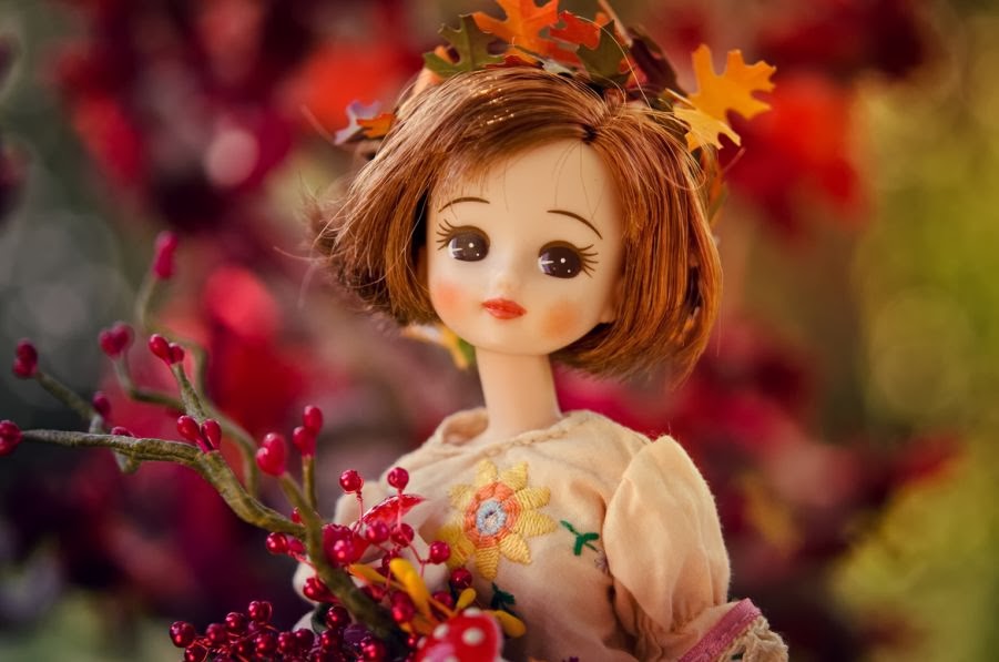 Awesome Photos of Adventurous Dolls