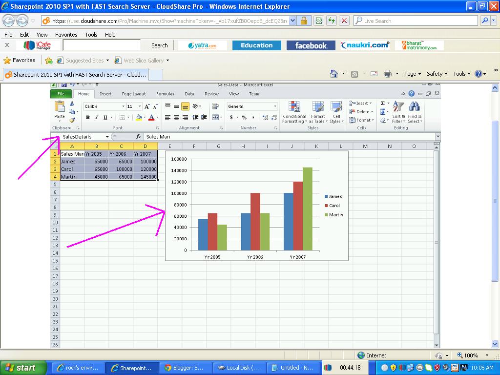 Sharepoint 2010 Excel Chart