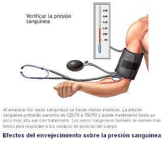 El programa de 12 pasos para sozavisimyh de los alcohólicos