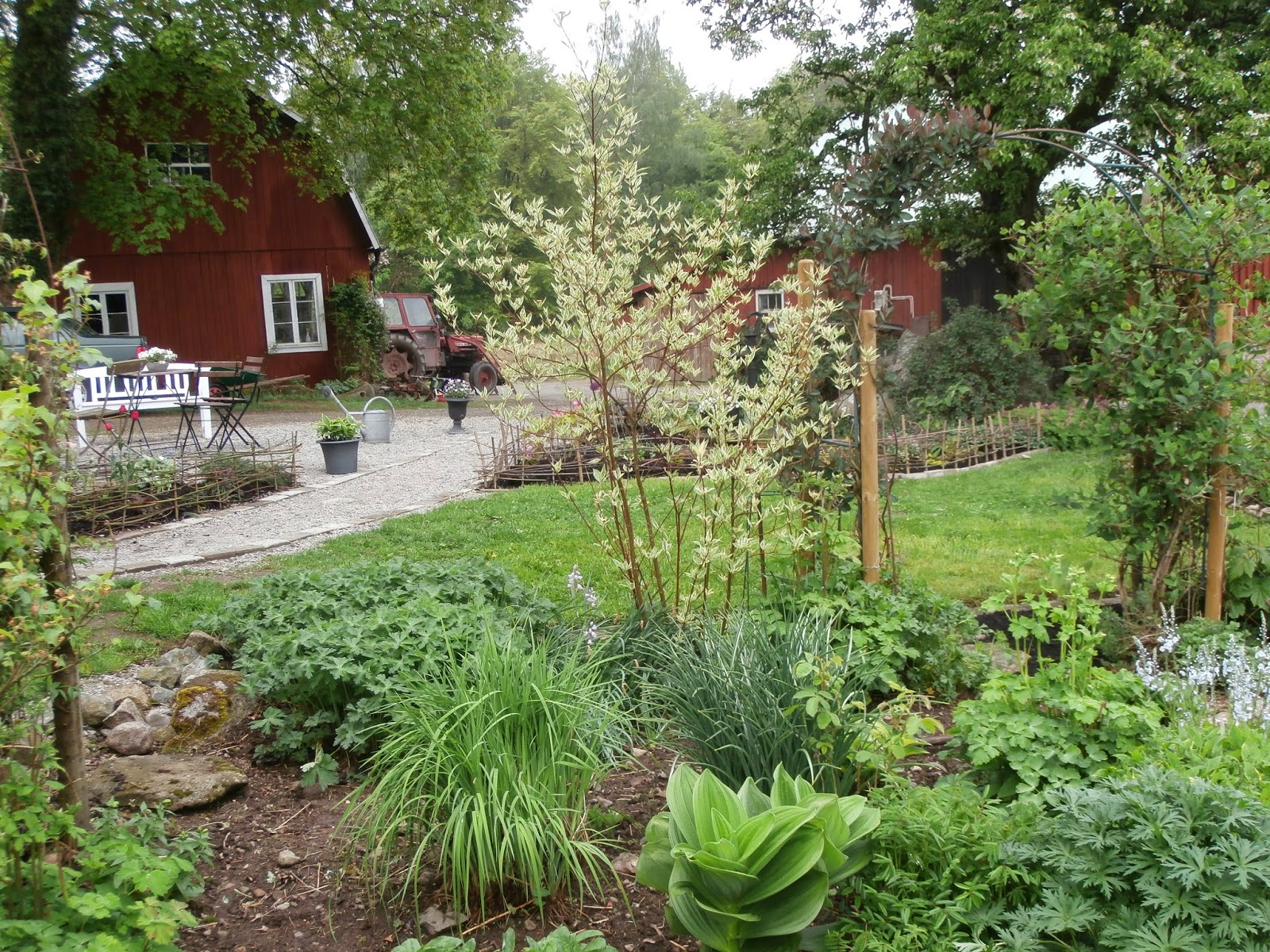 Trädgårdslivet på lindön
