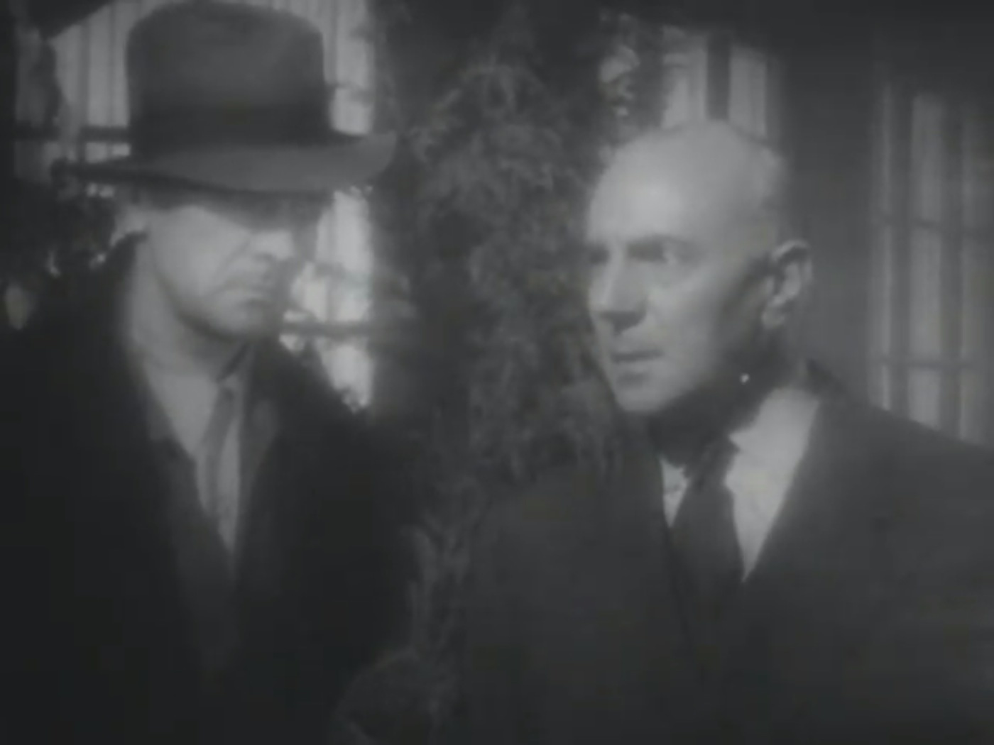 After Midnight: The Vampira Sho...