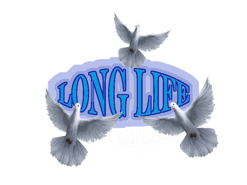 Long Life 