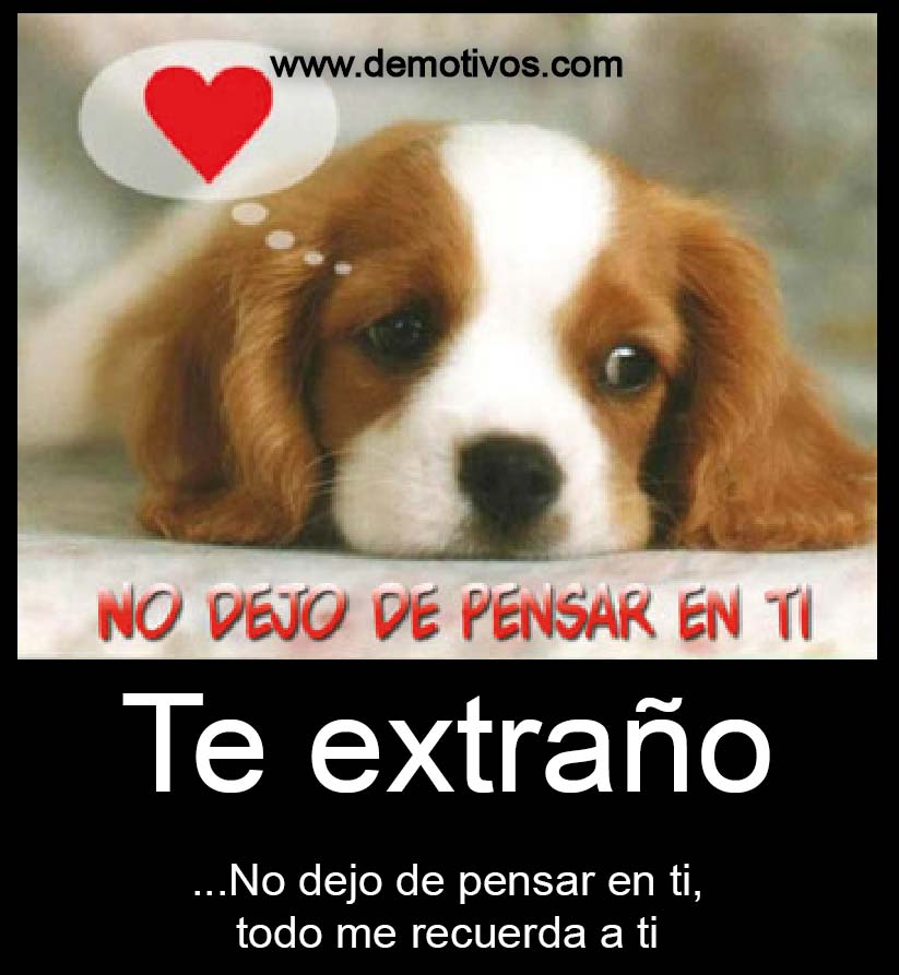 Afbeeldingsresultaat voor extraño todo de ti frases