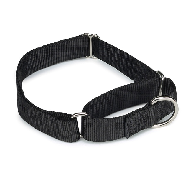 From The Other End of the Leash What is a Martingale Collar?
