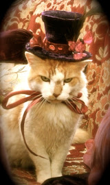 Our Mad Catter, click on the picture to see the party...