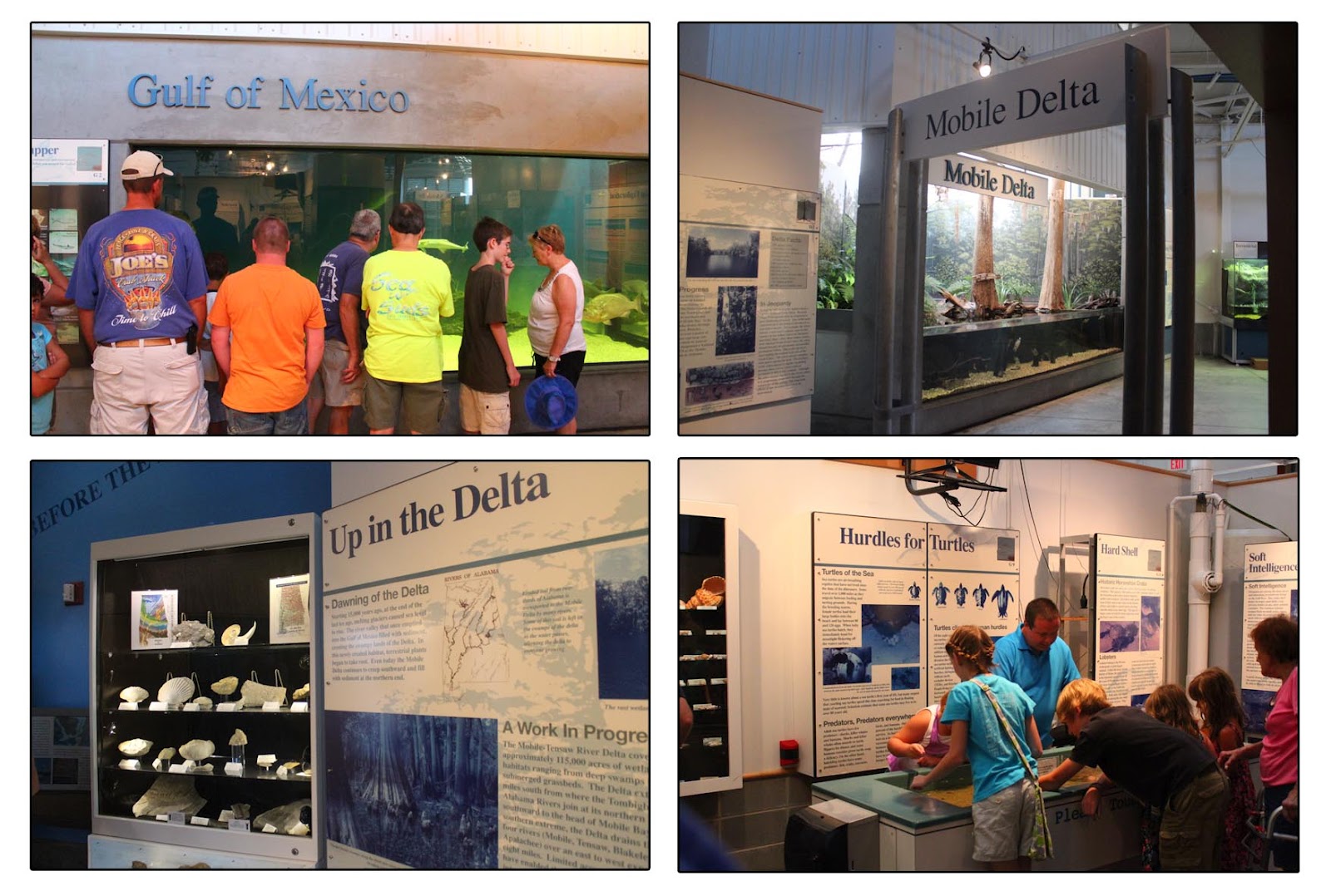 Weekend Trip Estuarium at Daulphin Island