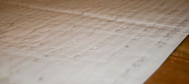 植物の種が埋め込まれているラッピングペーパー