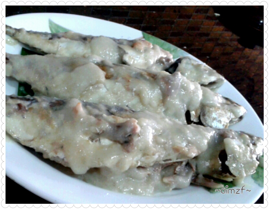 Aimzf Ikan Percik Putih