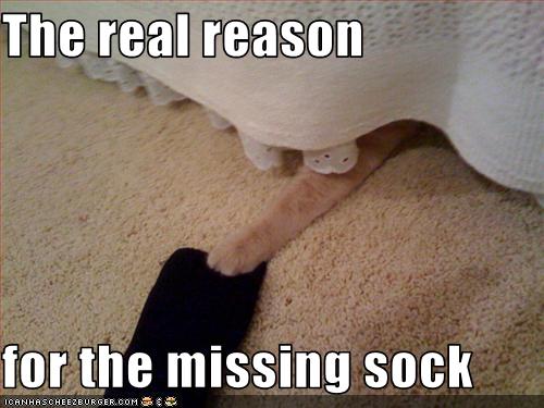 real_reason_for_missing_sock2.jpg