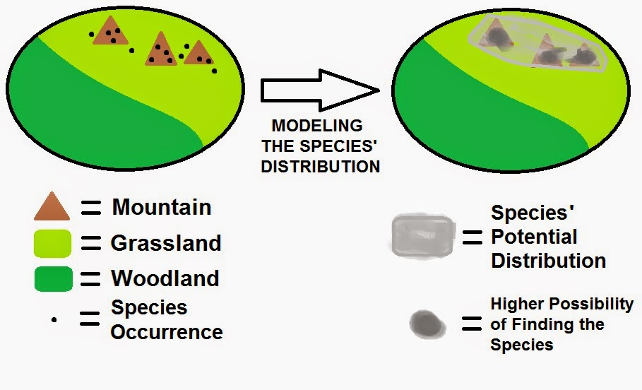 Modeling Species Distributions in R First Steps R Functions
