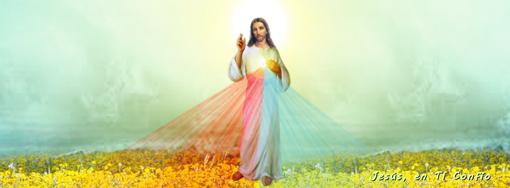 jesus en ti confio divina misericordia jesus