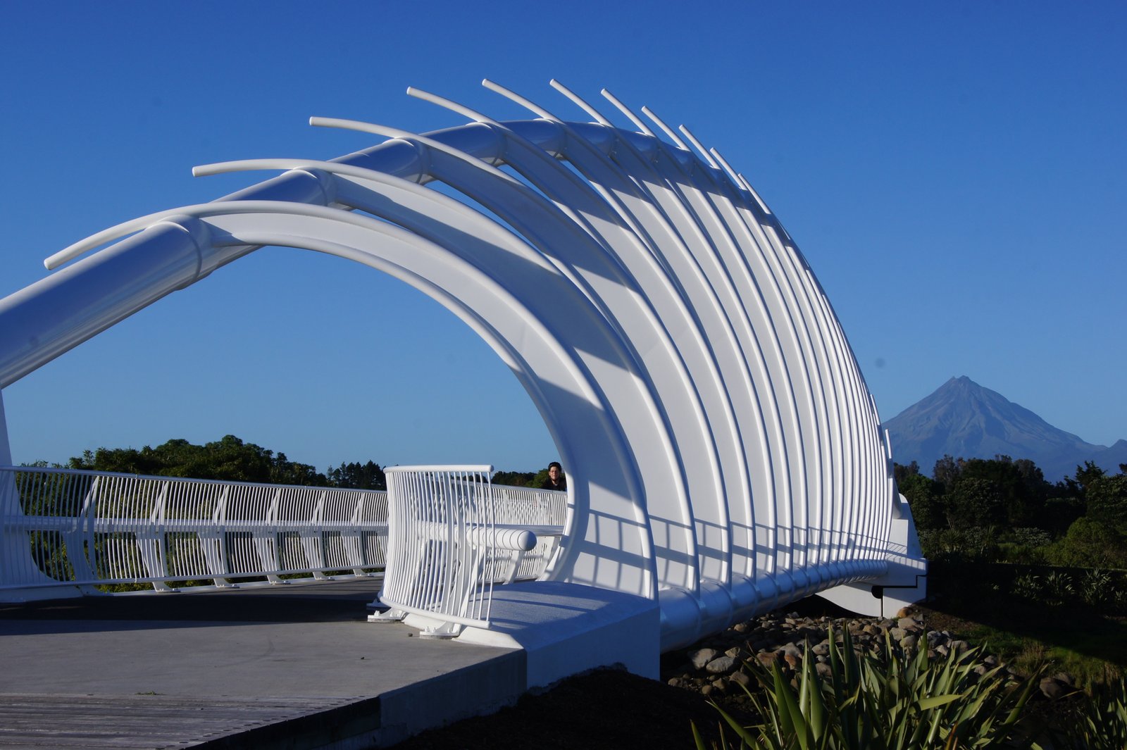 Te Rewa Rewa Bridge, New Plymouth, Neuseeland (2) Foto & Bild | world ...