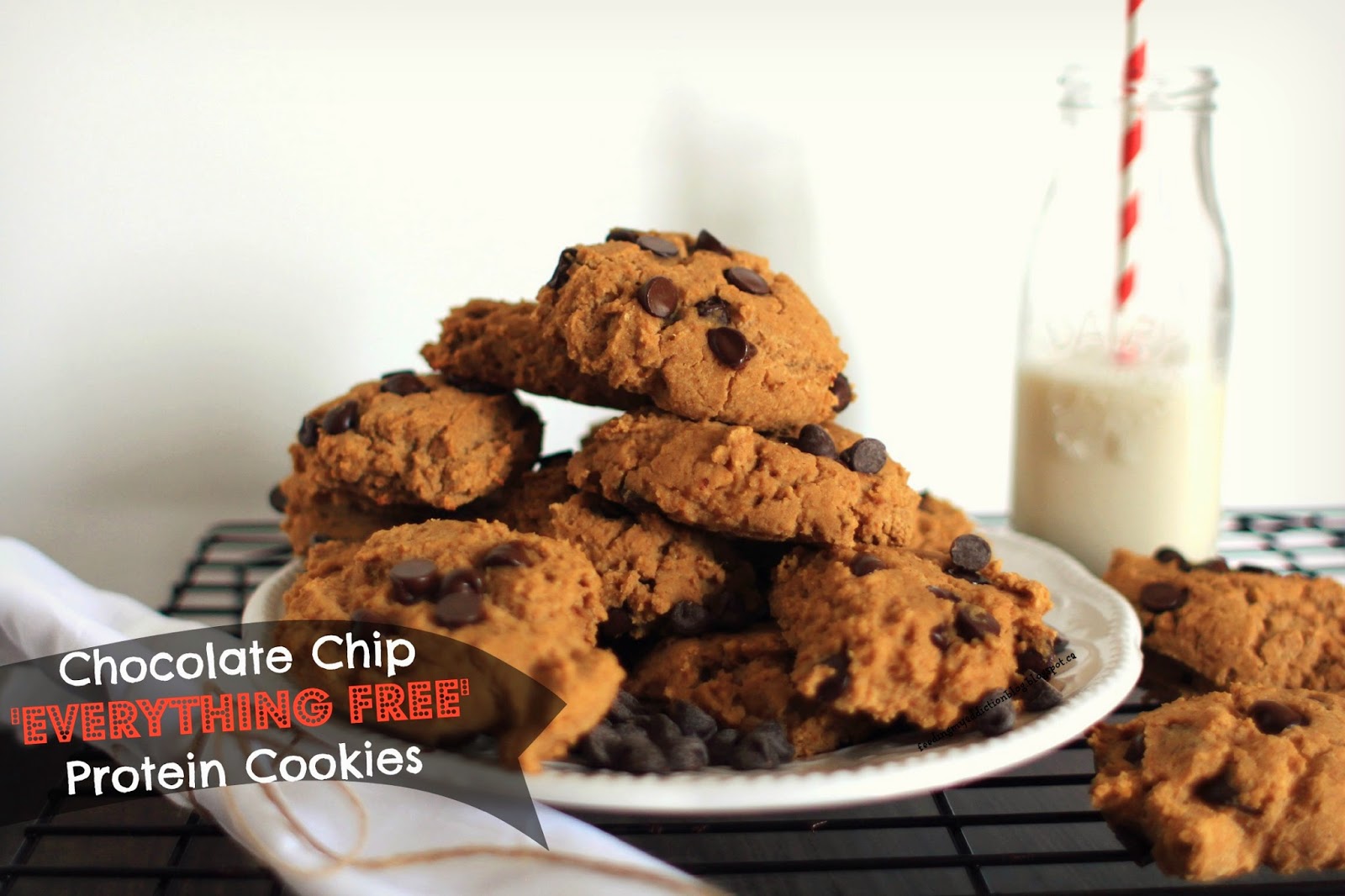 Feeding My Addiction Chocolate Chip 'Everything Free' PROTEIN Cookies