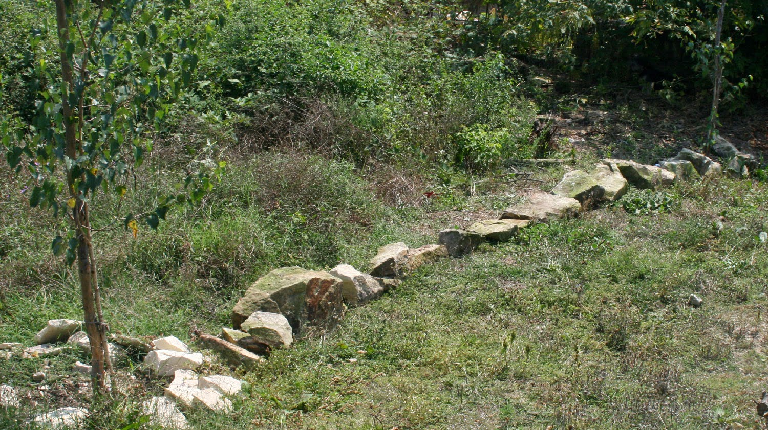 The first section for today completed The first section for today completed