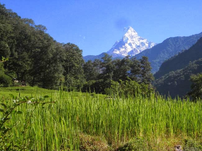 Annapurna ghorepani trekking