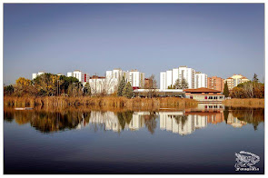 PRIMAVERA EN LAGUNA