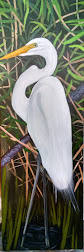 Egret