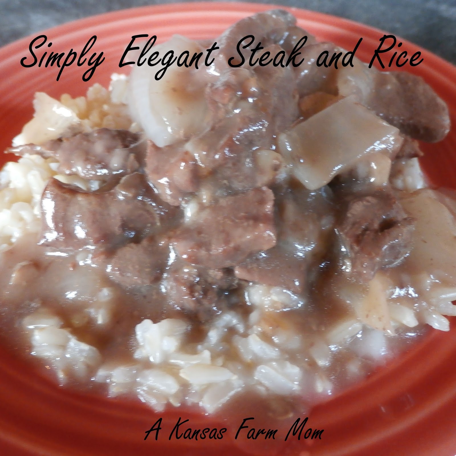 Tales of a Kansas Farm Mom W4DWSimply Elegant Steak and Rice