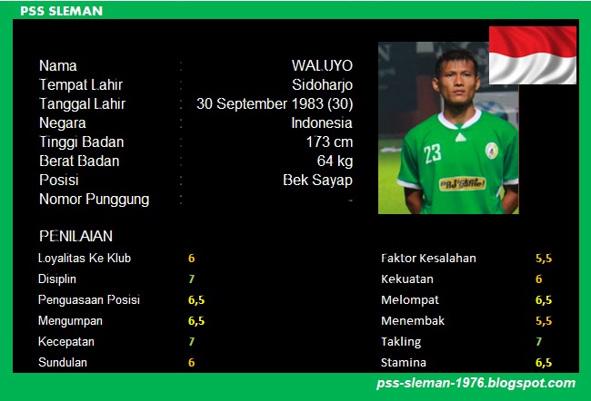 PSS SLEMAN: Skuad PSS Sleman 2014