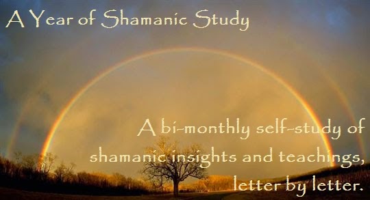 A Year of Shamanic Study