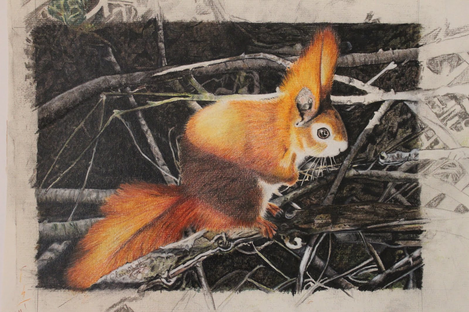 Traditional Wildlife Art