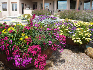 Get Potted with The Contained Gardener: How Large is Large?