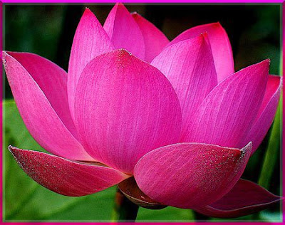 Cần Mua Đất Dĩ An, Can Mua Dat Di An, Mua Đất Dĩ An, Mua Dat Di An, Mua bán đất Dĩ An, Mua ban dat Di an