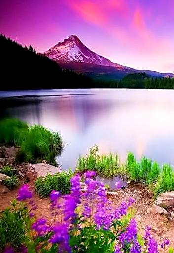 Ketenangan Bersama Alam Semulajadi Relaks Minda