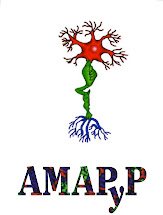 AMAPyP