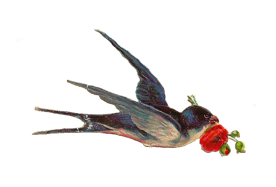 Bird Carrying Flower Antique Images Free Bird Clip Vintage Digital Scrap