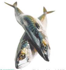 Os benefícios do ômega 3